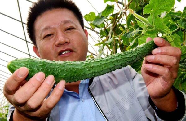 生鮮食材配送為什么大多不能與客戶建立長期合作？